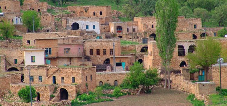 eserinizle-ogunebilirsiniz